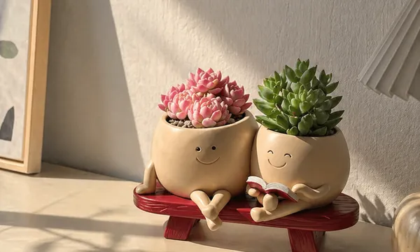 Macetas Kawaii con Suculentas: Decoracion Cute y Relajante