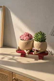 Macetas Kawaii con Suculentas: Decoracion Cute y Relajante